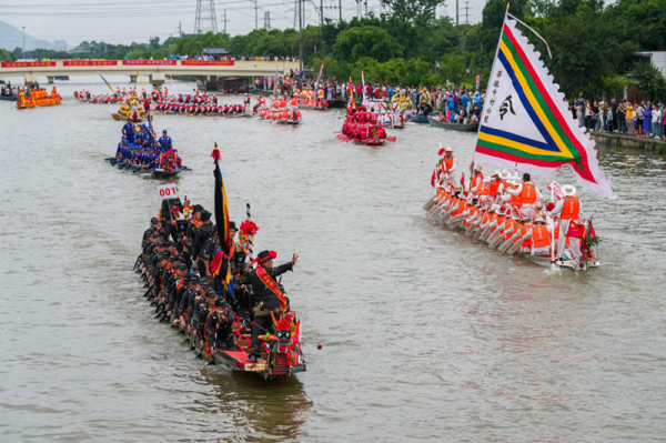 瑞安龙舟破浪前行，千年民俗再现盛景